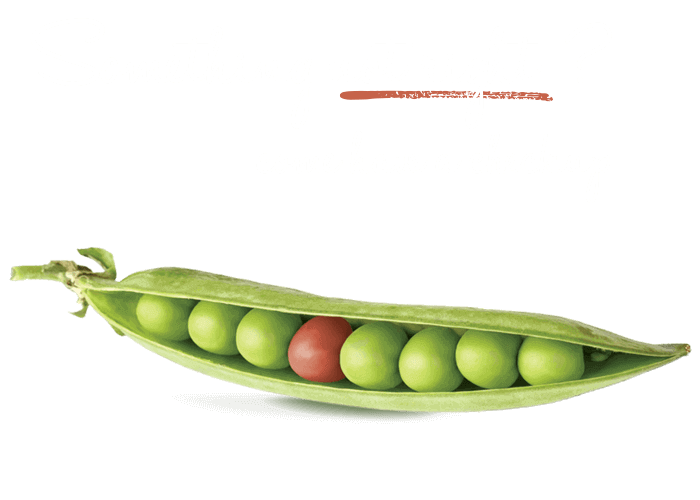 Family Dental St. Albert