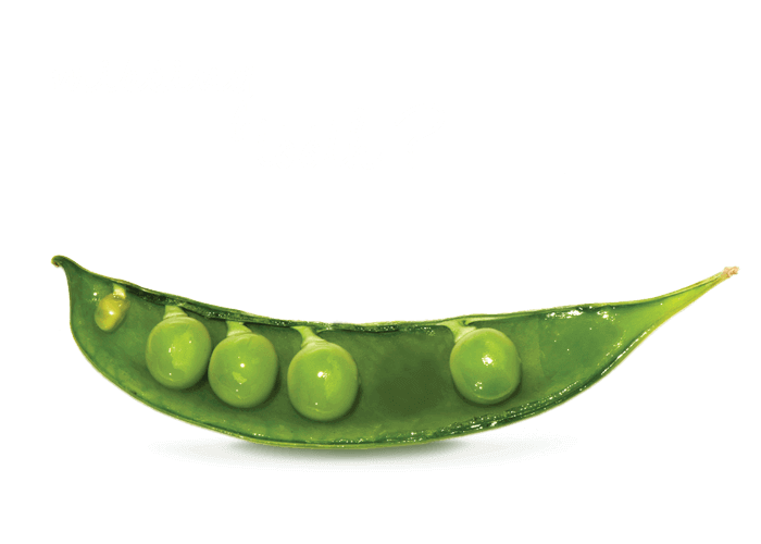 Best Dentist St. Albert